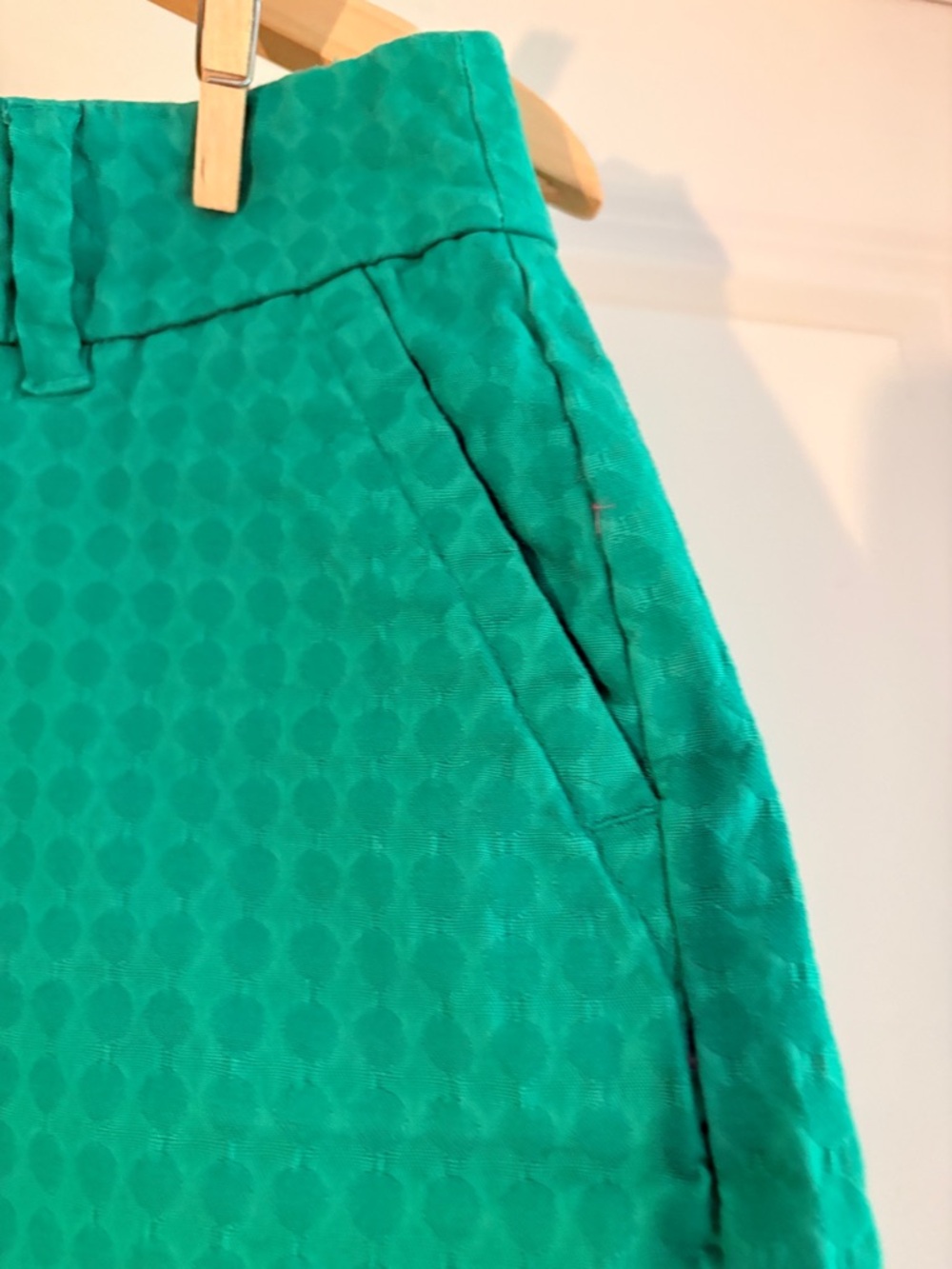 Green Scalloped Hem Shorts, Size 10P - Picture 11 of 12